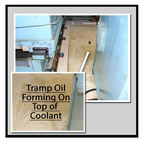 tramp oil separator systems